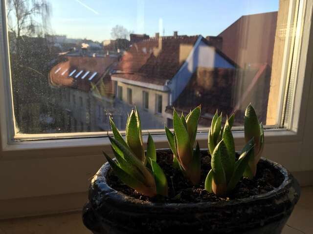 Апартаменты German18-3B Luxury Vilnius apartment Вильнюс-31
